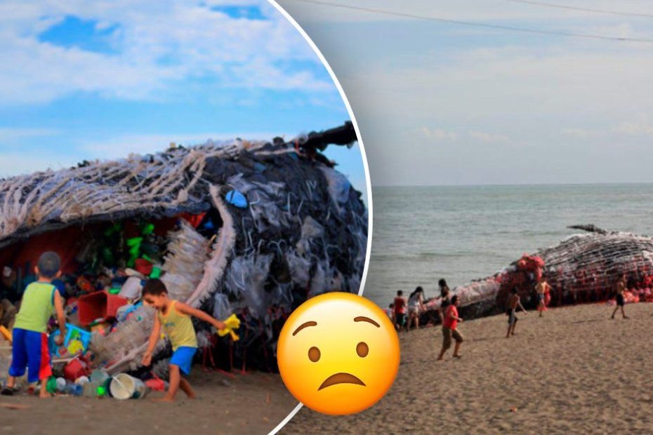 Ballena muerta en Italia con 22 kilos de plástico en su interior