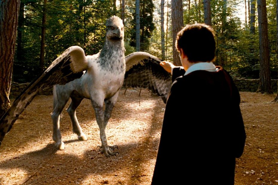 El Hipografo de Harry Potter es filmado en África 2023