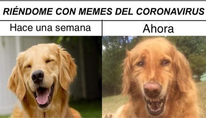 Mejores memes de humor del Coronavirus en España